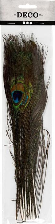 Actual product image Creativ Company peacock feathers