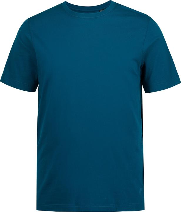 Bleu sarcelle