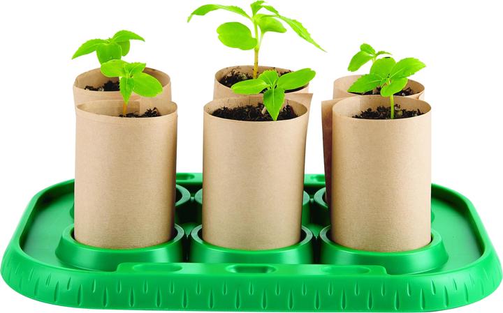 Produktbild Hape Gewächshaus