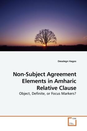 Produktbild Non-Subject Agreement Elements in Amharic Relative Clause (Deutsch, Desalegn Hagos, 2010)