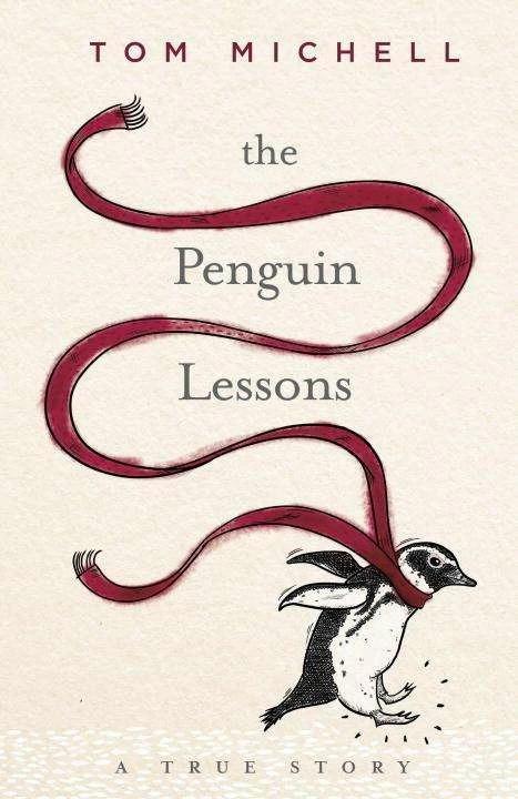 Produktbild The Penguin Lessons (Englisch, Tom Michell, 2016)