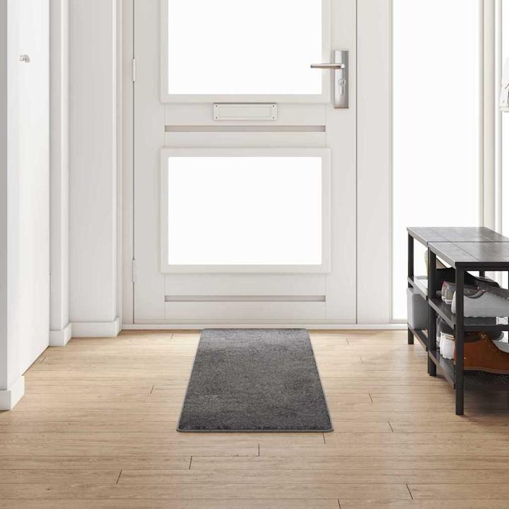 Produktbild vidaXL Läufer (250 x 50 cm)
