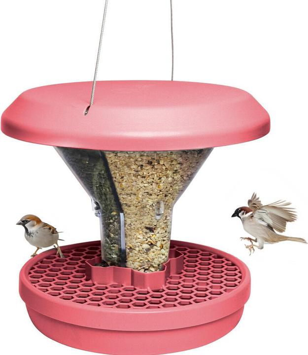 Produktbild Swissinno Vogel-Futtersilo Davos dusty rose SMART BIRDS