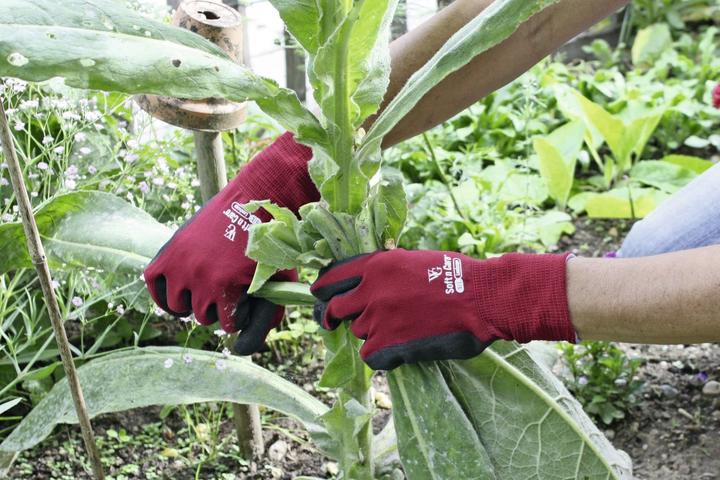 Image du produit Keron Soft N Care Landscape (S)