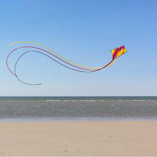 Actual product image HQ Kites Dancer II