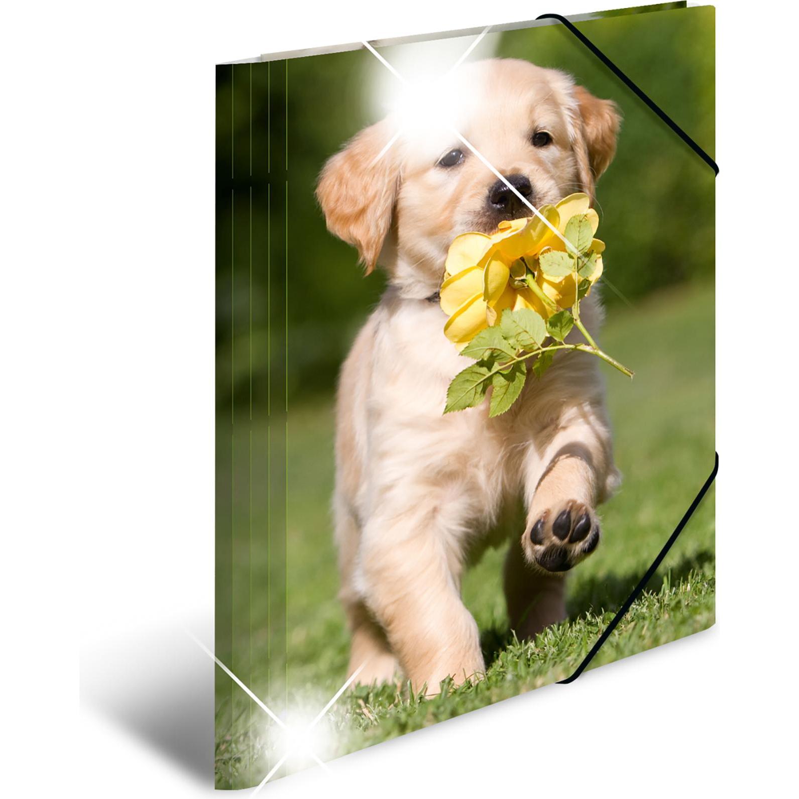 Herma, Mappe, Eckspannermappe "Hunde", PP Glossy, DIN A4 Masse: (B)244 x (T)4 x (H)320 mm, mit 3 Innenklappen (A4, 1 x)