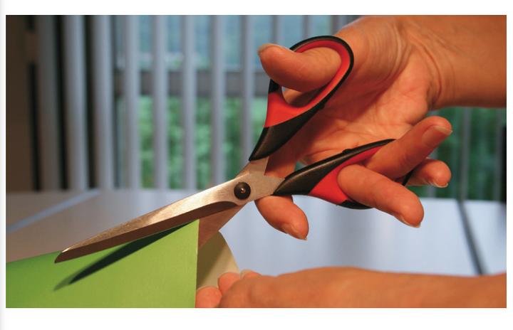 Actual product image Erdi Multi-purpose scissors 160mm 2K (16 cm)
