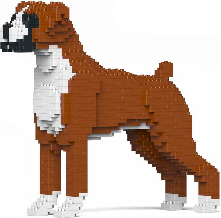 Jekca Limited Boxer