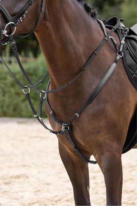 Actual product image Kerbl Vorderzeug schwarz, Cob