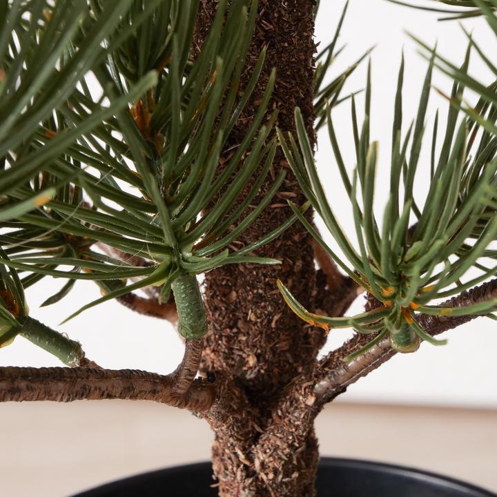 Image du produit Boltze Home Arbre de décoration (68 cm)