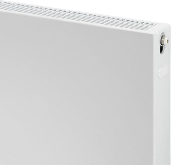 Actual product image Plieger Compact Paneelradiator Type 22 Vlak - Wit - 60 x 40 cm (7340482) (623 W)
