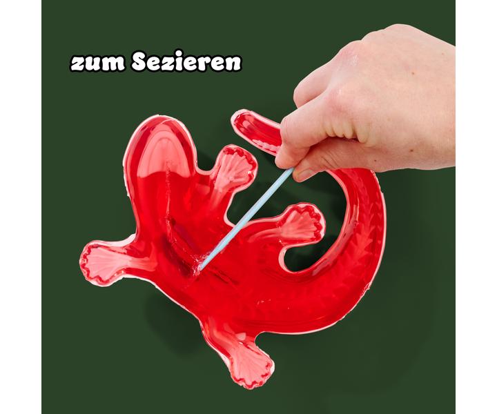 Productafbeelding Simba Scout ontleed-salamander