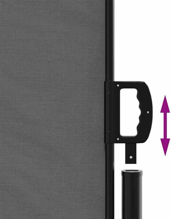 Actual product image vidaXL Extendable side awning (5 m)