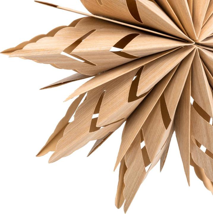 Image du produit pfister Mystic Forest