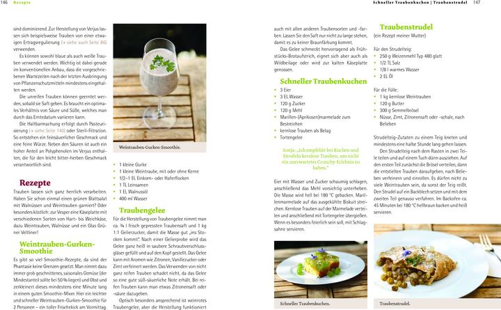 Produktbild Bio-Wein im eigenen Garten (Deutsch, Sonja Schmid, 2021)