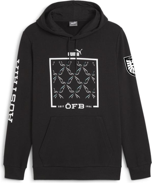 Puma Sweat à capuche ÖFB Ftblicons (3XL)