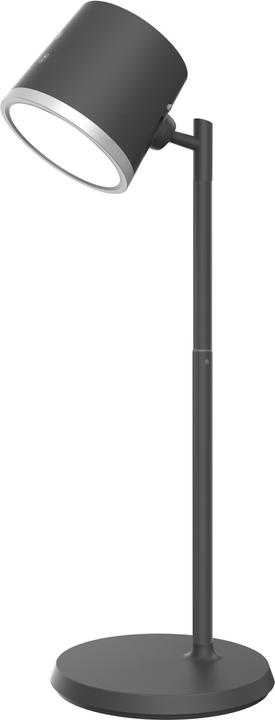 Standart Table lamp Flashlight BL-1005, LED, stand (base), 6W (530 lm)