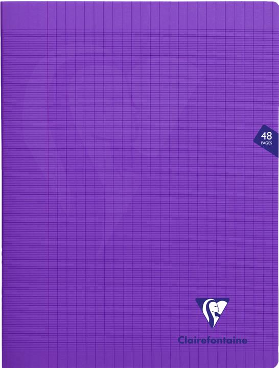 Immagine prodotto Clairefontaine Mimesys (Copertina morbida)