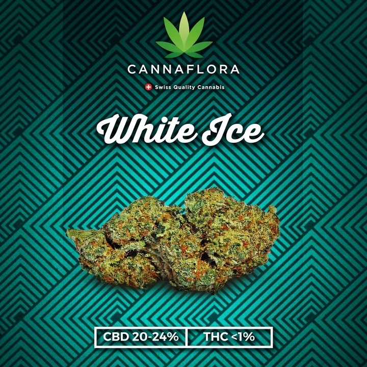 Image du produit Cannaflora glace blanche (6.50 g, Intérieur)