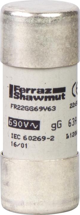 Actual product image Schneider Electric Fuse DF2-FN, gG size 22x58mm, DF2FN25 (25 A)