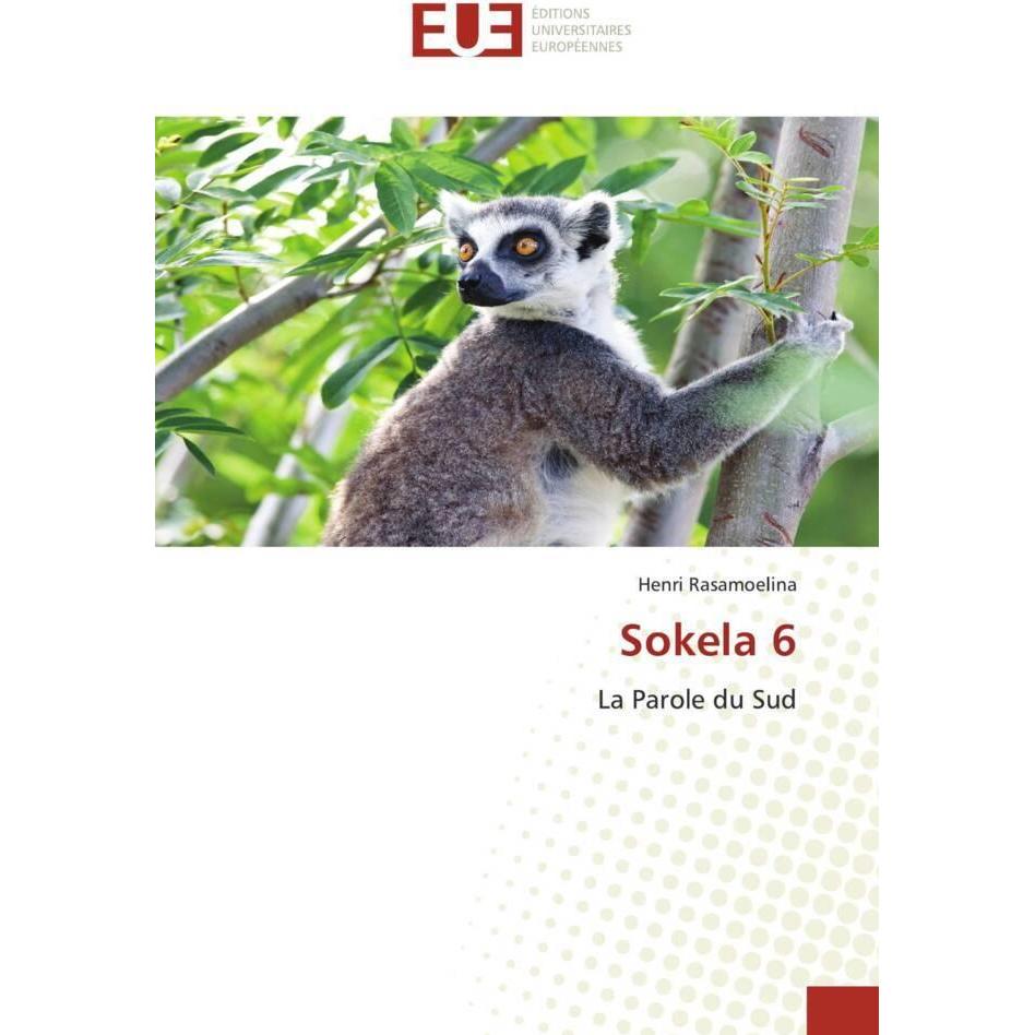 Sokela 6, Fachbücher von Henri Rasamoelina