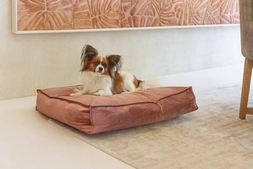Actual product image Designed by Lotte Nalino (Dog)