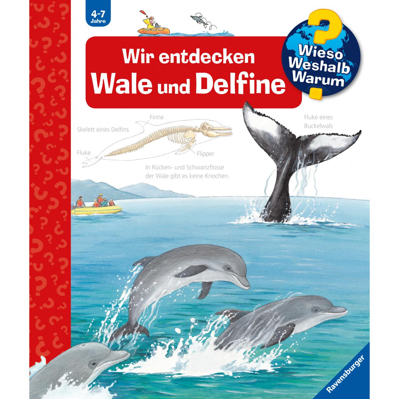Wir entdecken Wale und Delfine, Kinderbücher von Doris Rübel