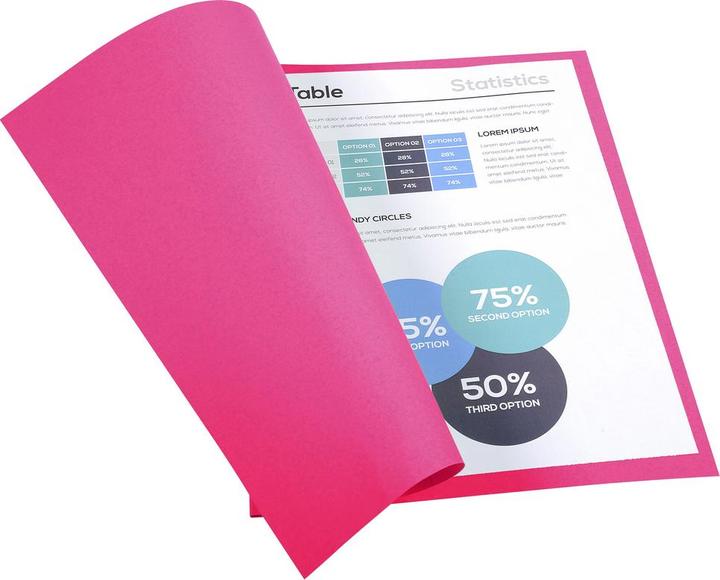 Produktbild Exacompta Sammelmappen - Aktendeckel (24 x 32 cm, 1 x)