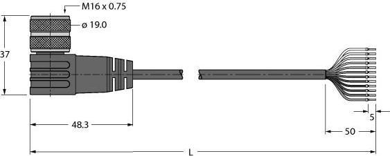 Turck Industrielle Sensorleitung PVC-Kabelmantel BKWM19-E01-2/TEL (2 m)
