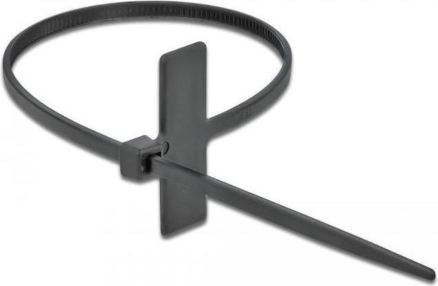 Produktbild Delock Cable Tie with Label Tap (100 mm, 10 Stk.)