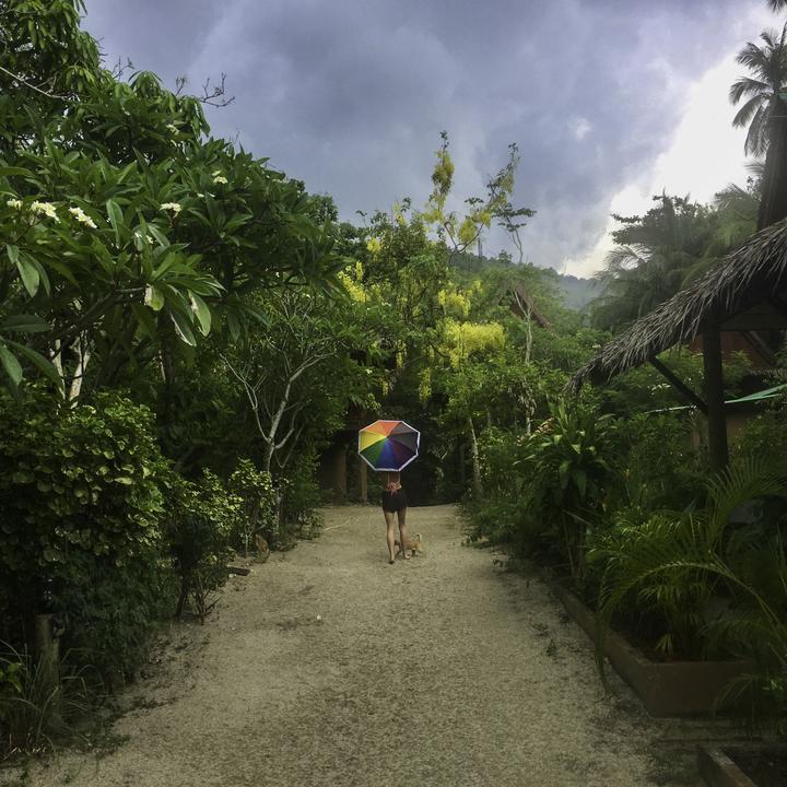 Produktbild Pantone Taschenschirm PRIDE