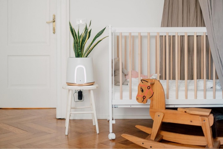 Immagine prodotto Vitesy Natede Basic Natürlicher Luftreiniger (20 m²)