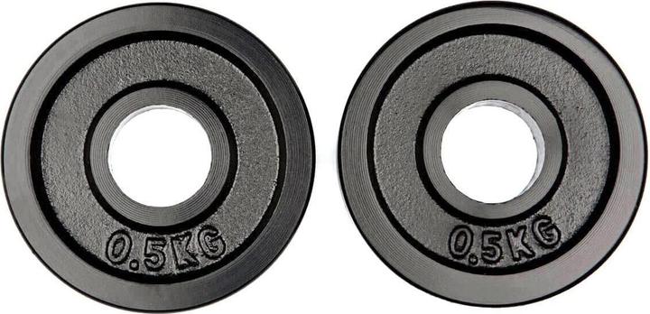 Image du produit Hammer Fitness Disques d'haltères (2 x 0,5 kg, 2 x 1,25 kg)