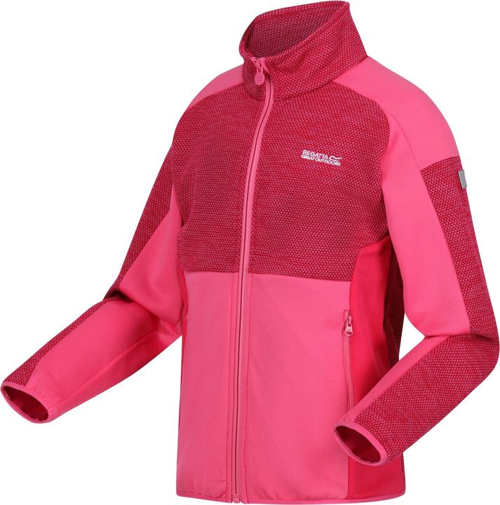 Produktbild Regatta Highton III Fleecejacke (158)