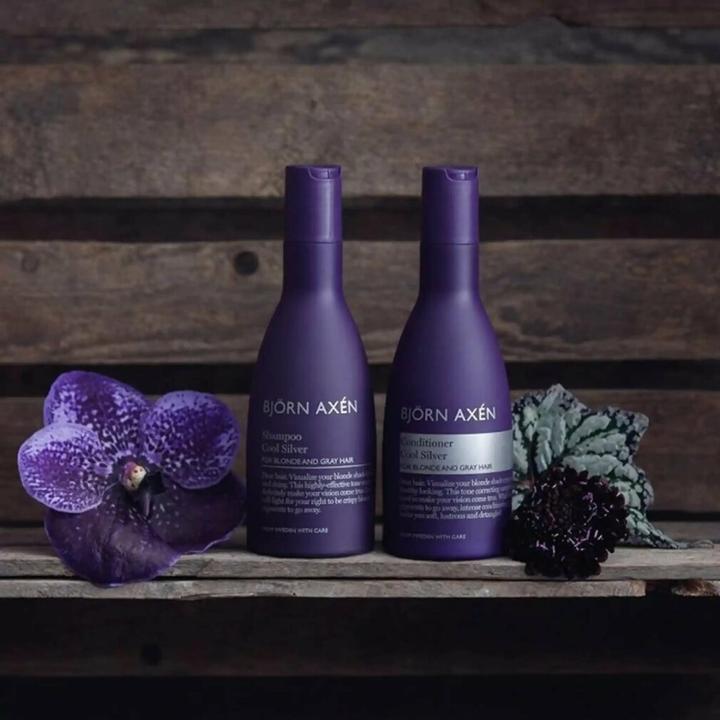 Produktbild Björn Axen Cool Silver Conditioner (250 ml)
