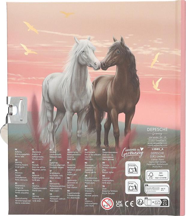 Produktbild Schmidt Spiele Miss Melody - Diary, Motif 2 (413889) (16 x 19 cm, Liniert, Harter Einband)
