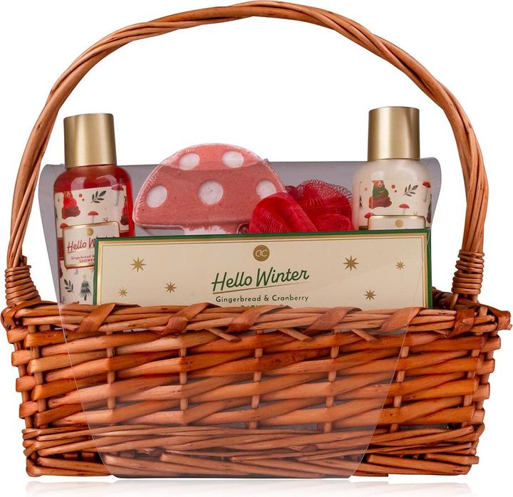 Accentra Badeset HELLO WINTER (Haarpflege Set)