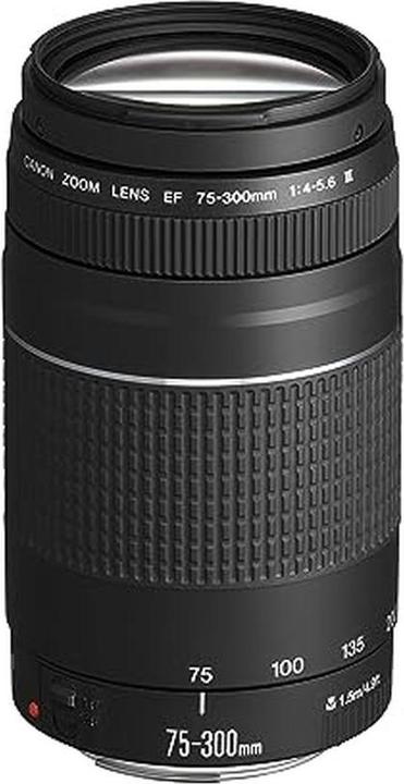 Produktbild Canon EF 75-300mm f/4.0–5.6 III (Canon EF, APS-C / DX)