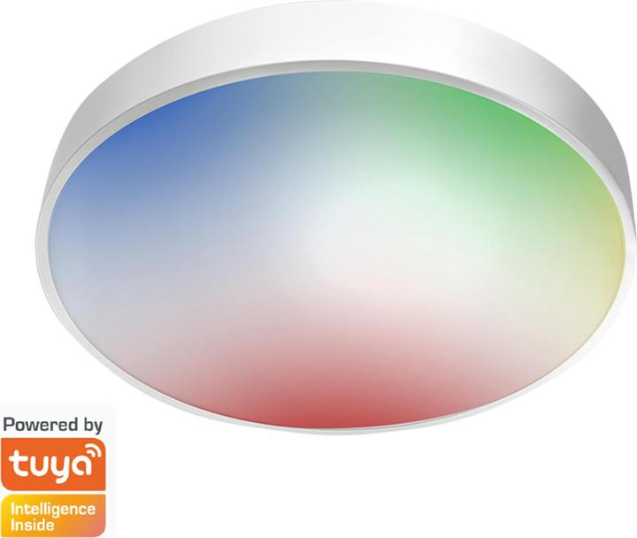 Actual product image LogiLink WiFi Smart Ceiling Light, Tuya compatible (2400 lm)