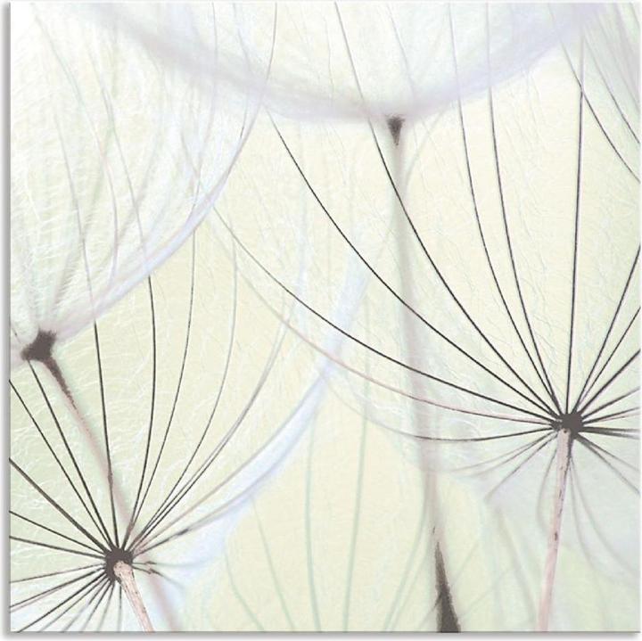 Actual product image Artland Dandelion seeds lightened