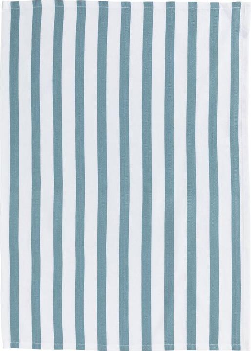 Image du produit Ladelle Raya (70 x 50 cm)