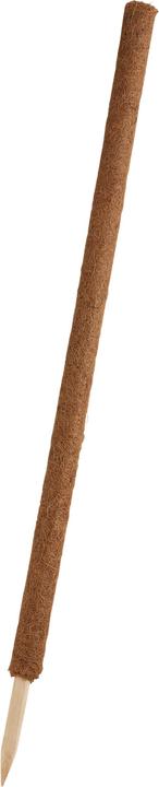 Produktbild Windhager Pflanzenstab Kokos (110 cm, 4.50 cm)