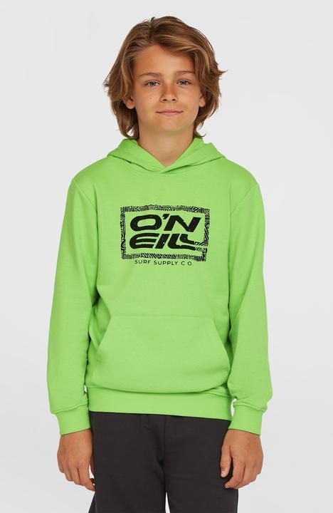 Immagine prodotto O'Neill Logo Hoodie (164)