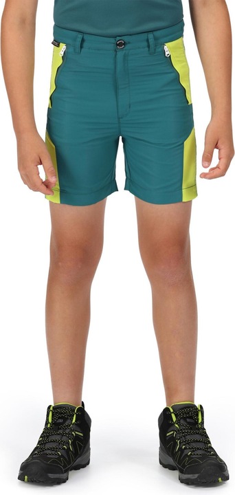 Actual product image Regatta Sorcer Ii Shorts (116)