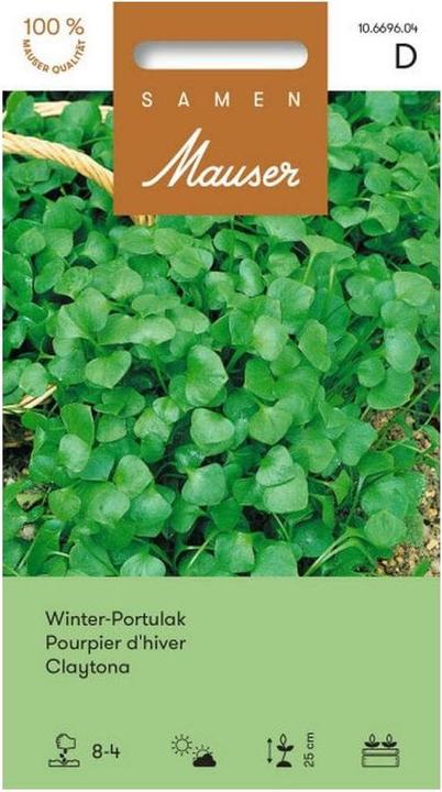 Image du produit Samen Mauser Portulaca d'hiver (Graines de légumes)