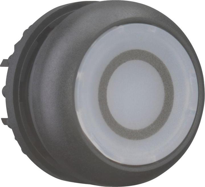 Actual product image Eaton Illuminated push-button, RMQ titanium, flat, 216941