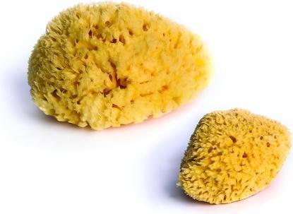Actual product image dBb Remond Natural Sponge