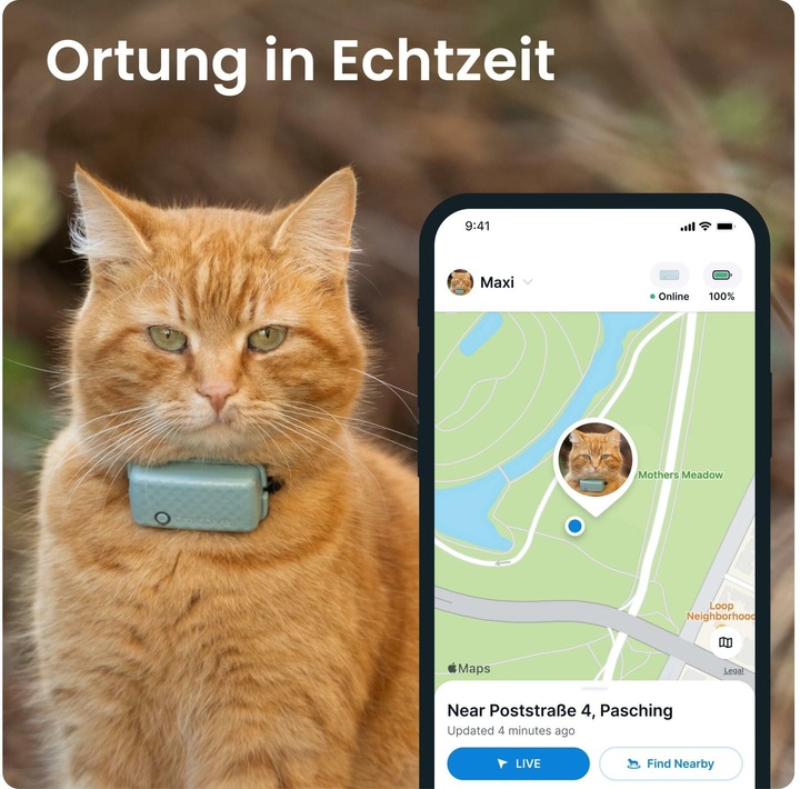 Immagine prodotto Tractive GPS Mini (Taglia unica, Gatto, Generale)