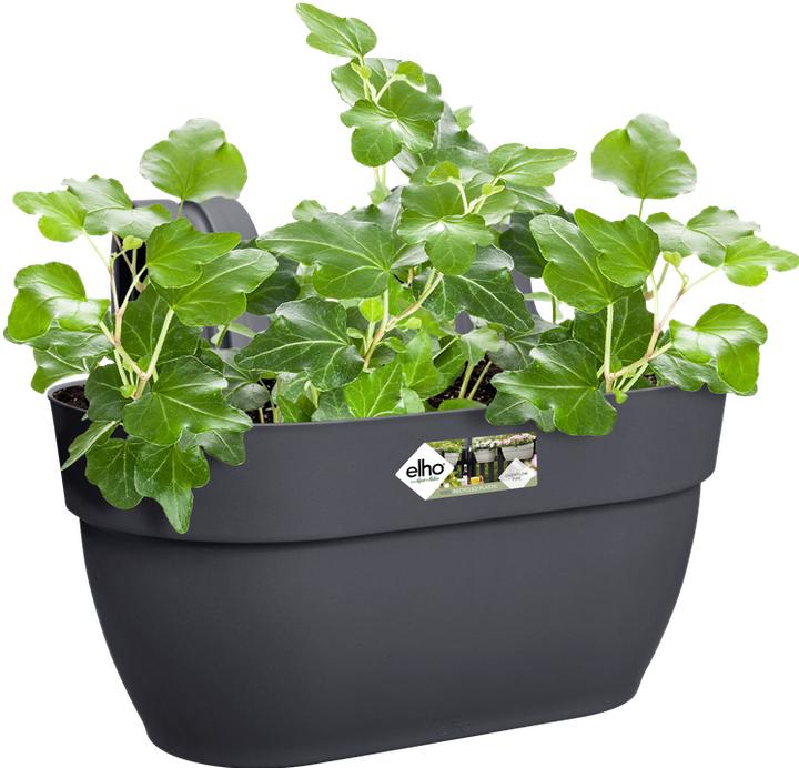 Produktbild Elho Blumenschale (36 cm)