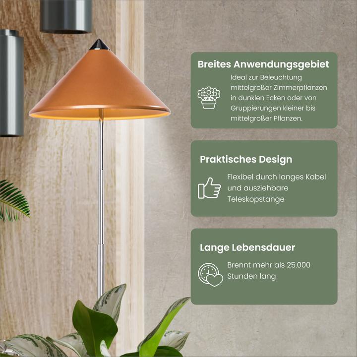 Actual product image Colibri Sunlite (LED, 230 V)